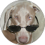Bob Lichens Avatar